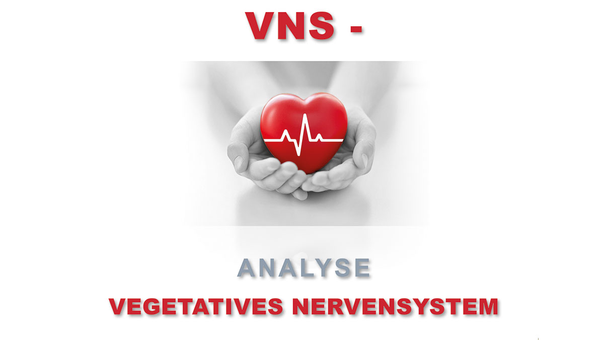 VNS-Analyse